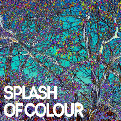 Splashes of Colour