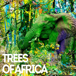 Trees of Africa